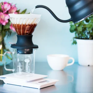 Hario V60 Immersion Ceramic Dripper SWITCH (Siyah)